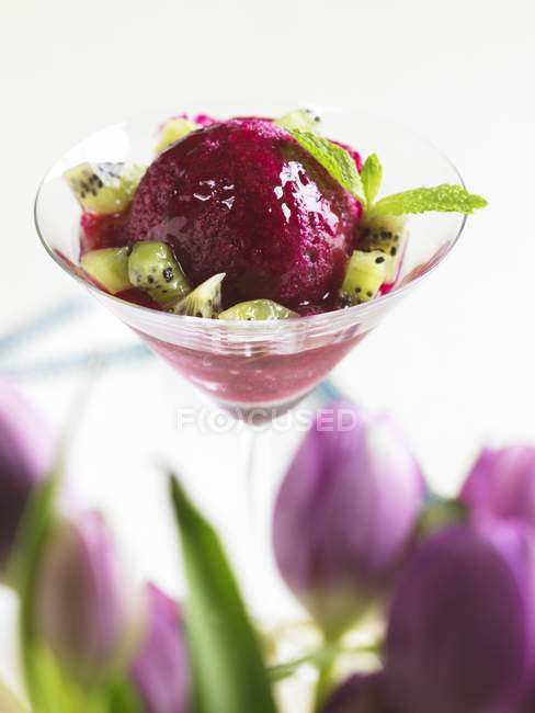 Passion Fruit Sorbet — Stock Photo