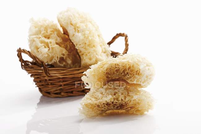 Cauliflower mushrooms in and beside basket — Stock Photo