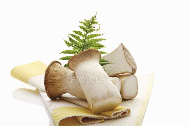 King oyster mushrooms — Stock Photo