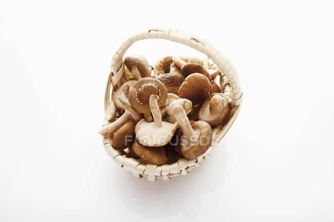 Champiñones shiitake, primer plano - foto de stock