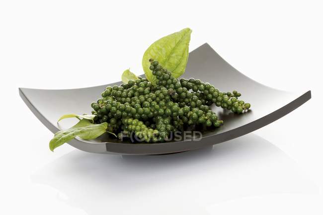 Clusters of green peppercorns with leaves in dish — Stock Photo