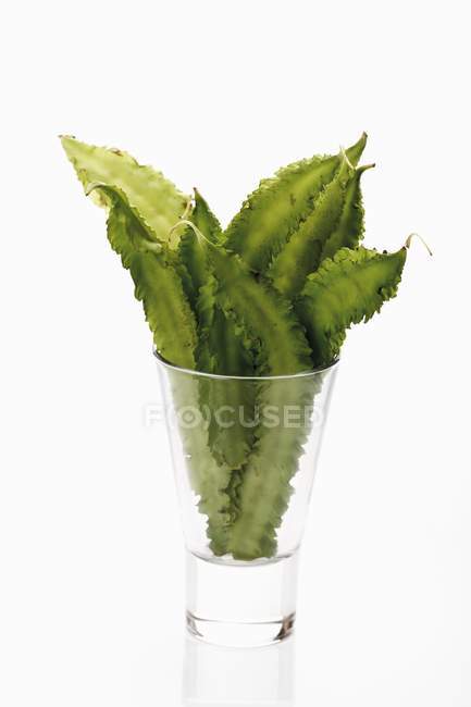 Haricots ailés frais en verre — Photo de stock