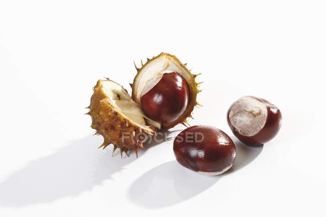 Horse chestnuts, with and without shells — Stock Photo