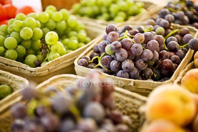 Uvas rojas y verdes - foto de stock