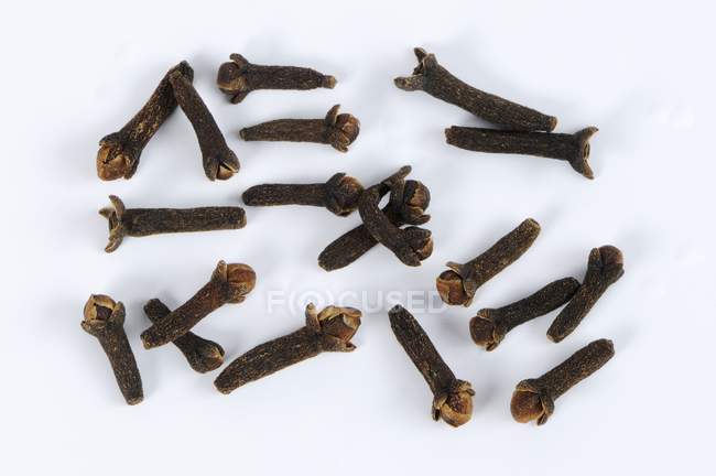 Dried Cloves seeds — Stock Photo