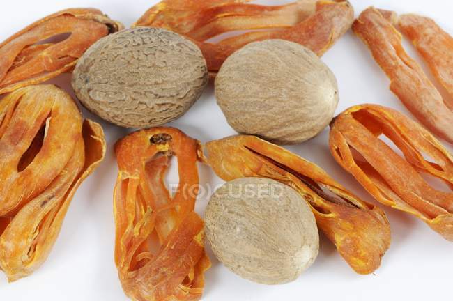 Сырые мускатные орехи и булавы — стоковое фото