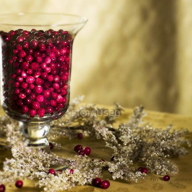 Cranberries in Hurricane Vase — Stock Photo