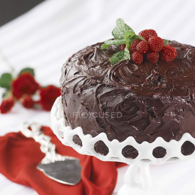 Torta al cioccolato sul supporto della torta — Foto stock