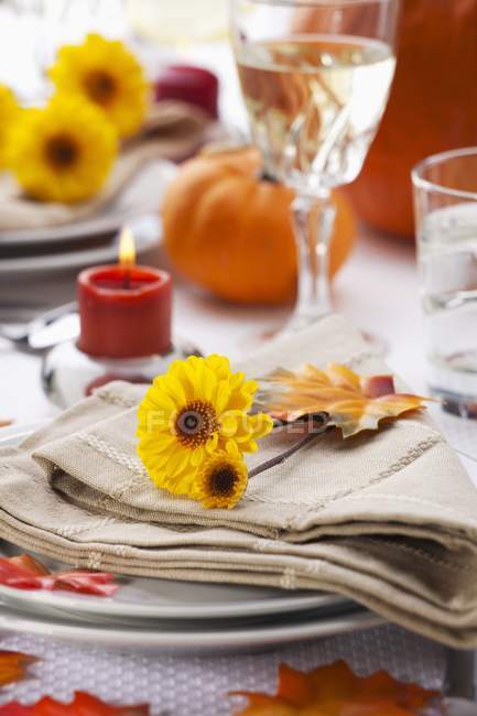 Closeup view of autumnal table setting for Thanksgiving — Stock Photo