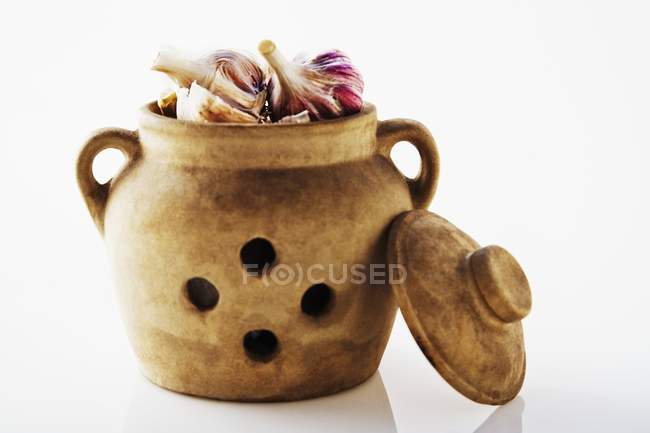 Ganze Knoblauchknollen in Keramik Knoblauchhalter — Stockfoto