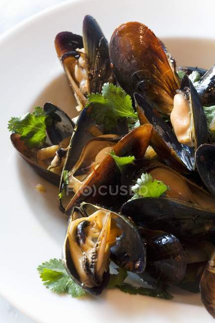 Steamed Mussels with Parsley — Stock Photo