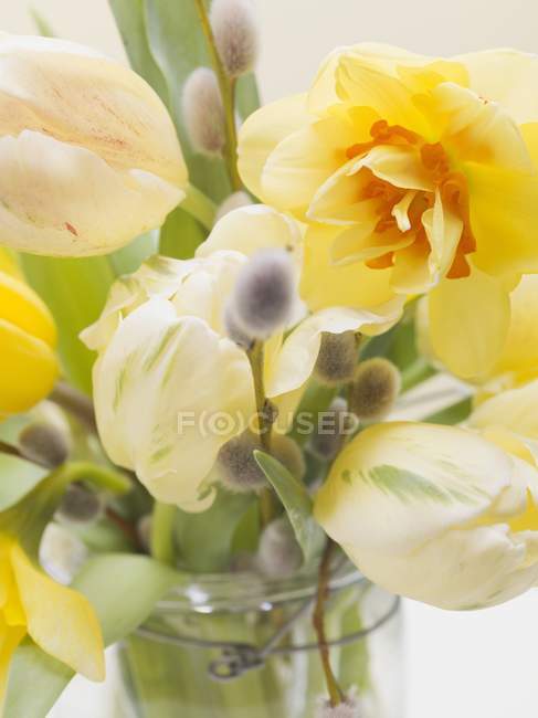 Vista de cerca de las flores de primavera incluyendo tulipanes, narcisos y  sauce coño — Sabor, hojas - Stock Photo | #150177994
