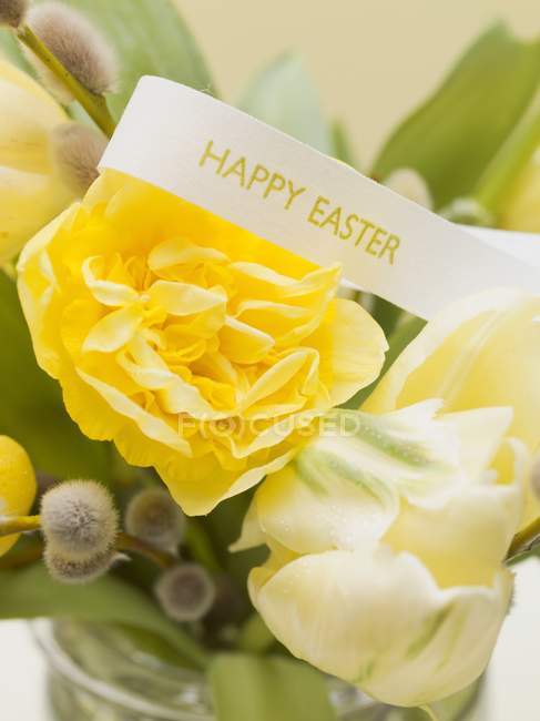 Vue rapprochée de Joyeuses paroles de Pâques sur l'étiquette sur les fleurs avec chatte saule — Photo de stock