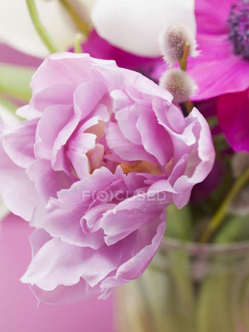 Nahaufnahme von rosa Tulpe in der Vase von Frühlingsblumen — Stockfoto