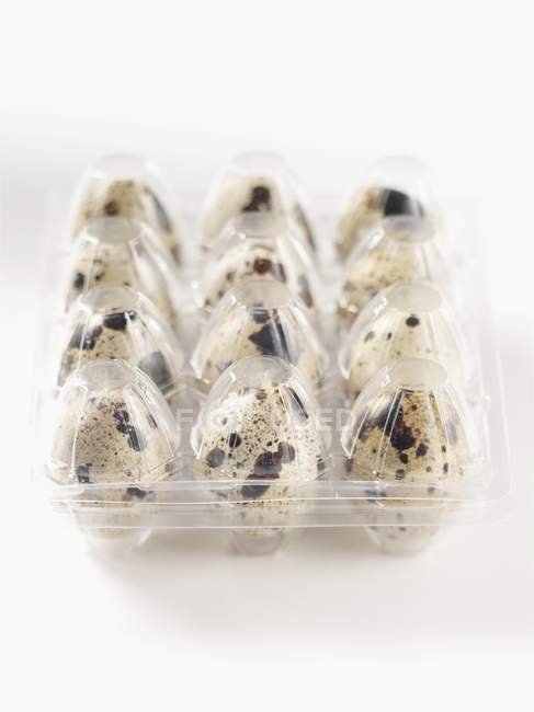 Œufs dans une boîte en plastique — Photo de stock
