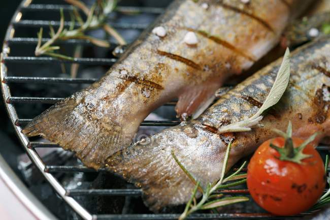 Charr tail fins on barbecue — Stock Photo