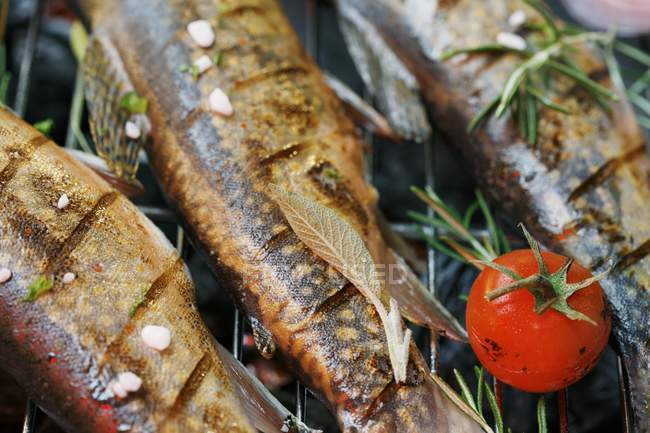 Grilled Char fish on barbecue — Stock Photo