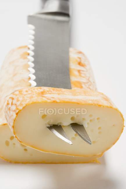 Cow's milk cheese — Stock Photo