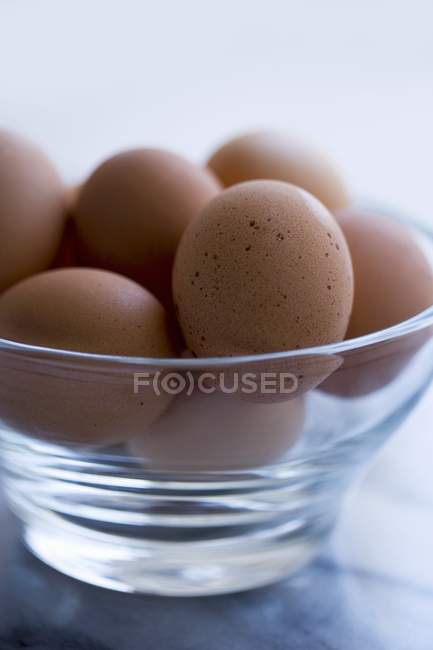 Organic Brown Eggs — Stock Photo