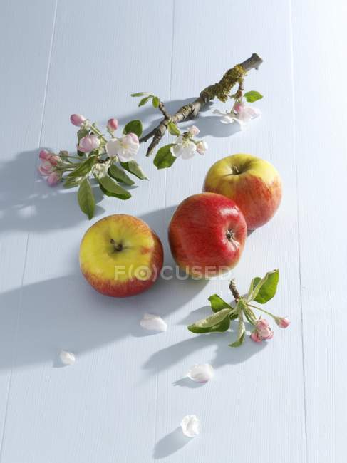 Manzanas frescas y ramita - foto de stock