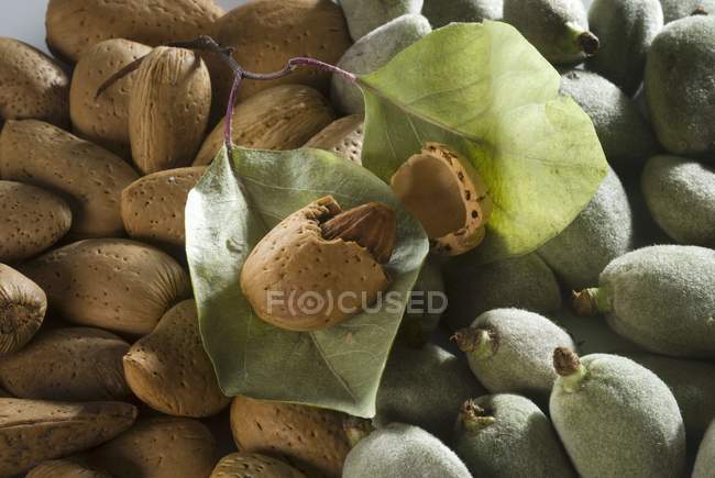 Amêndoas verdes e castanhas — Fotografia de Stock