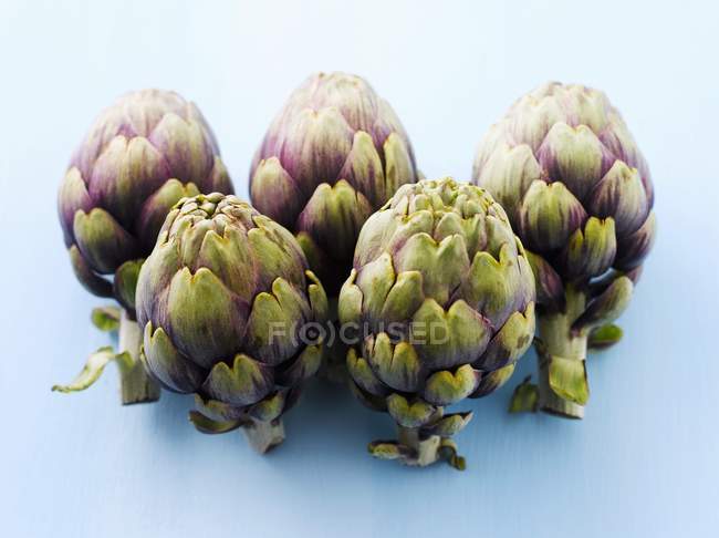 Fresh purple artichokes — Stock Photo
