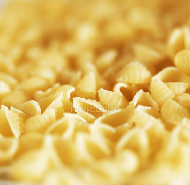 Conchiglie di pasta fresca — Foto stock