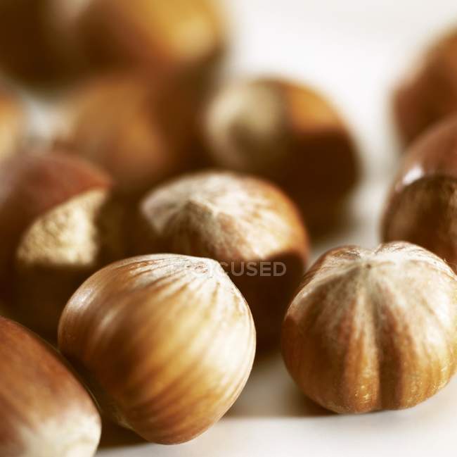 Fresh unshelled Hazelnuts — Stock Photo