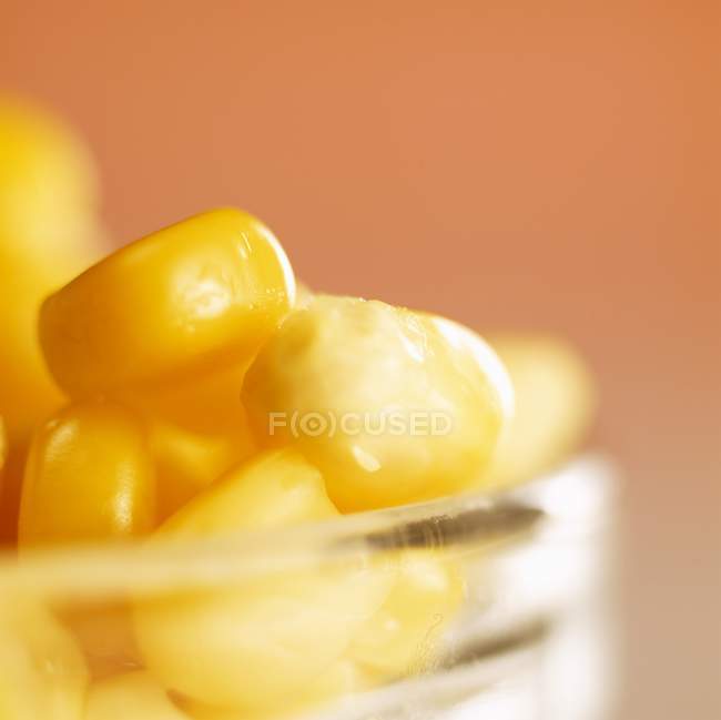 Chicchi di mais dolce in ciotola — Foto stock