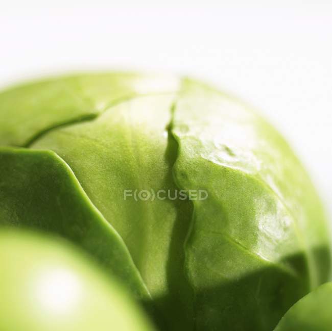 Raw green Brussels sprout on white background — Stock Photo