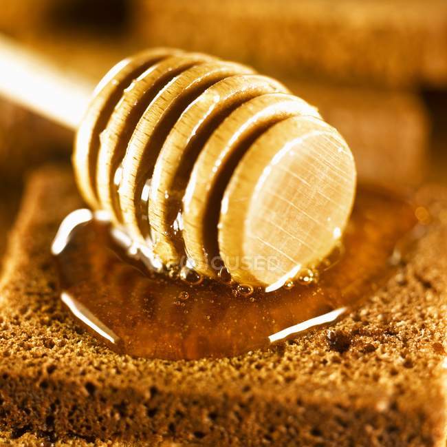 Honey dipper and honey — Stock Photo