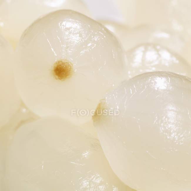 Cebollas perlas, primer plano - foto de stock