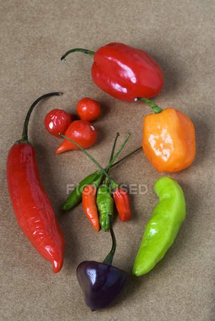 Colorful fresh chillies — Stock Photo