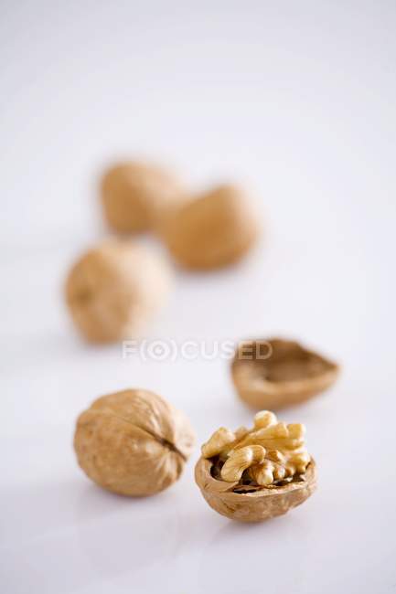 Walnutson fundo branco — Fotografia de Stock