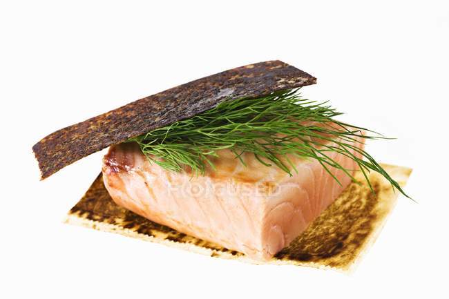 Filete de salmón con eneldo - foto de stock