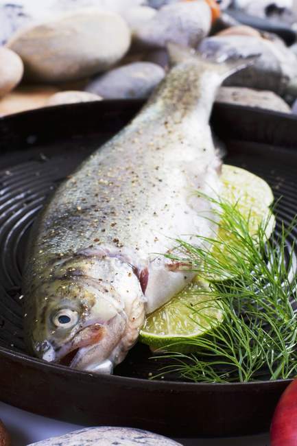 Fresh Trout with lime — Stock Photo