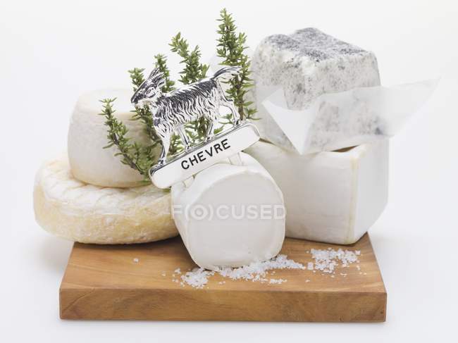 Various goat's cheeses — Stock Photo
