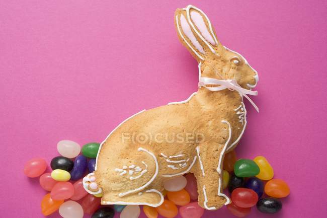 Запеченный пасхальный кролик — стоковое фото
