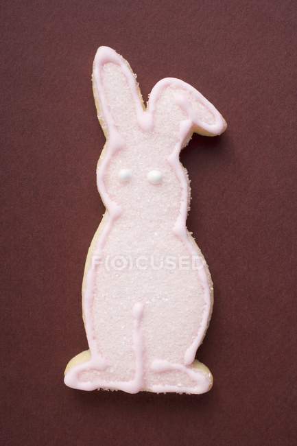 Biscotto in forma di Coniglio di Pasqua — Foto stock