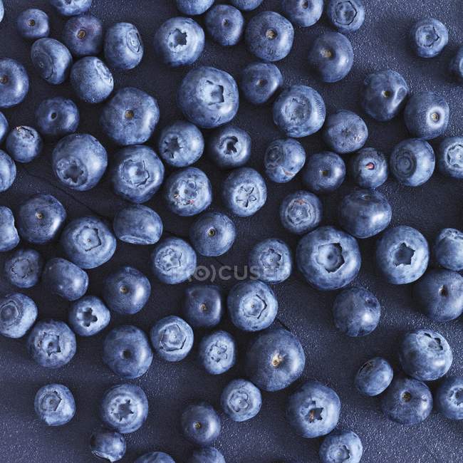 Bleuets frais mûrs — Photo de stock