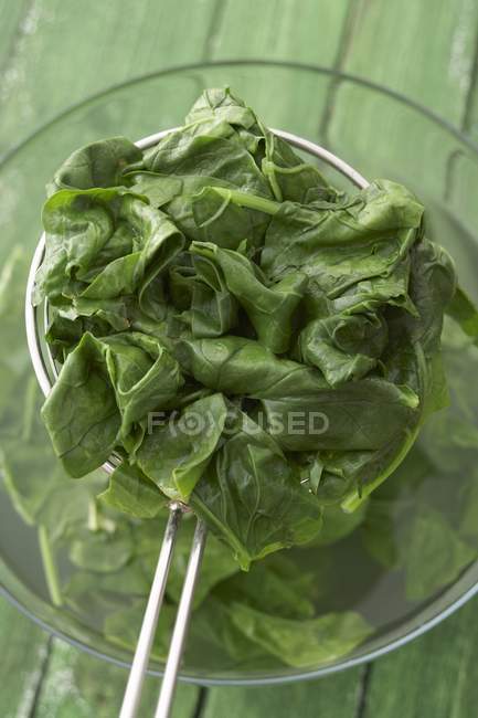 Blanched spinach in strainer — Stock Photo