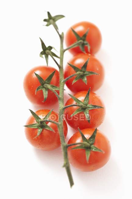 Fresh tomatoes on vine — Stock Photo
