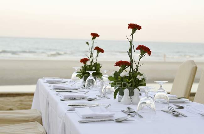 Visão diurna da mesa colocada com cravos vermelhos na praia — Fotografia de Stock