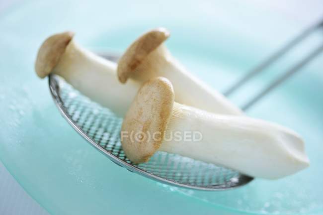 Funghi tailandesi su uno schiumatoio — Foto stock