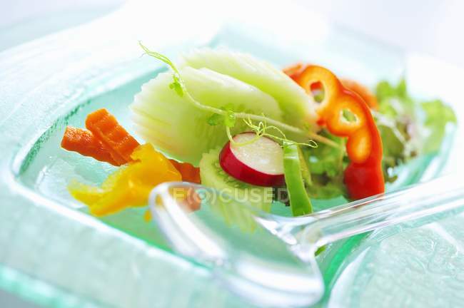 Ensalada de verduras en plato - foto de stock