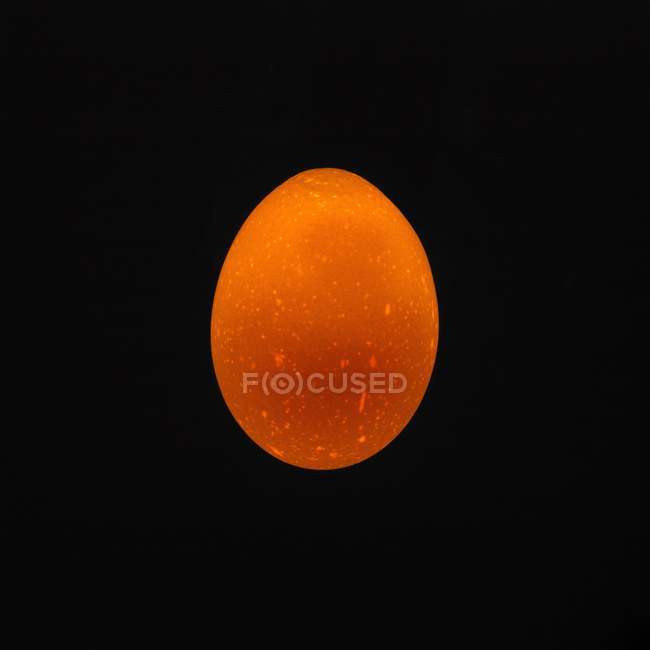Frisches Ei — Stockfoto