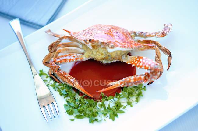 Krabben gefüllt mit Schweinefleisch — Stockfoto