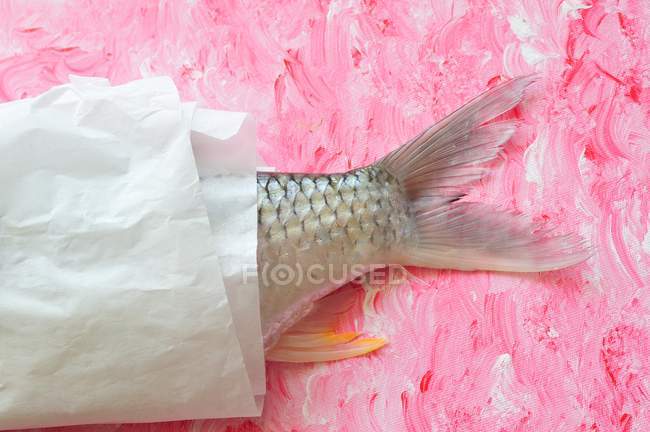 Хвостатая рыба на бумаге — стоковое фото