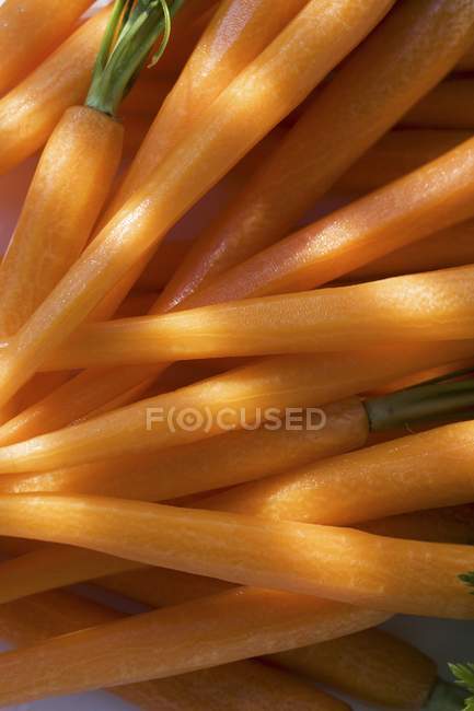 Peeled fresh Carrots — Stock Photo