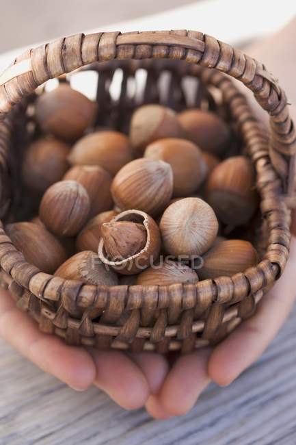 Hands holding basket — Stock Photo